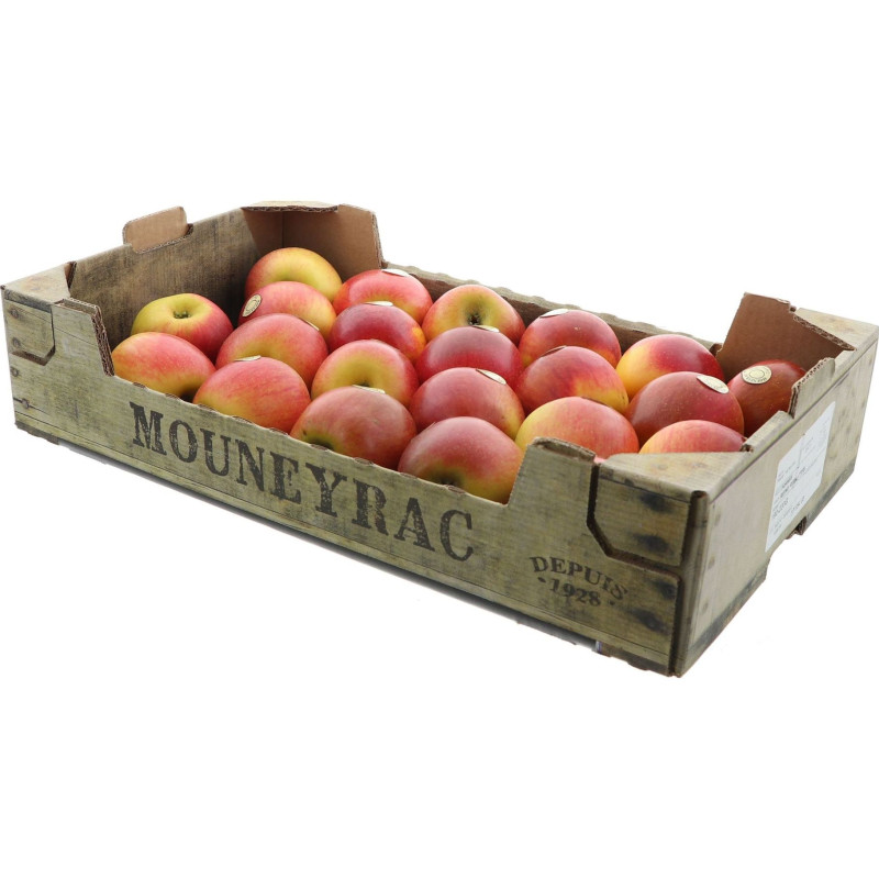 POMME REINE DES REINETTES MOUNEYRAC 5KG